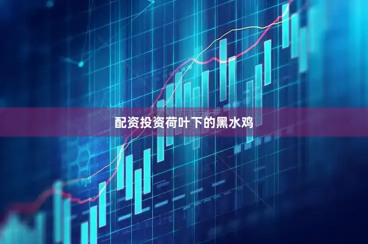 配资投资荷叶下的黑水鸡
